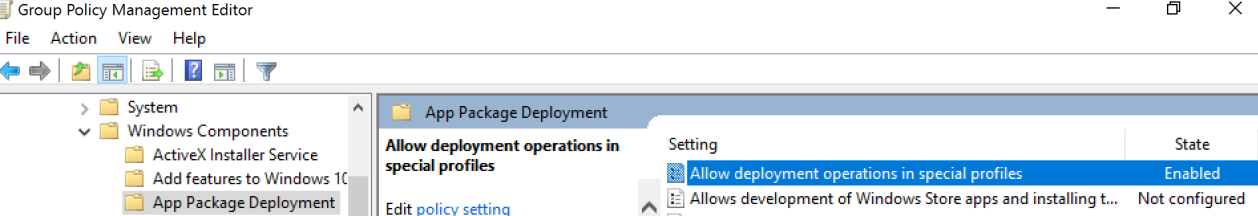 Windows roaming profiles MSIX setting