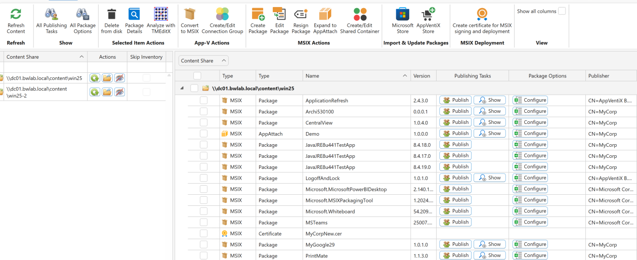 Package options window