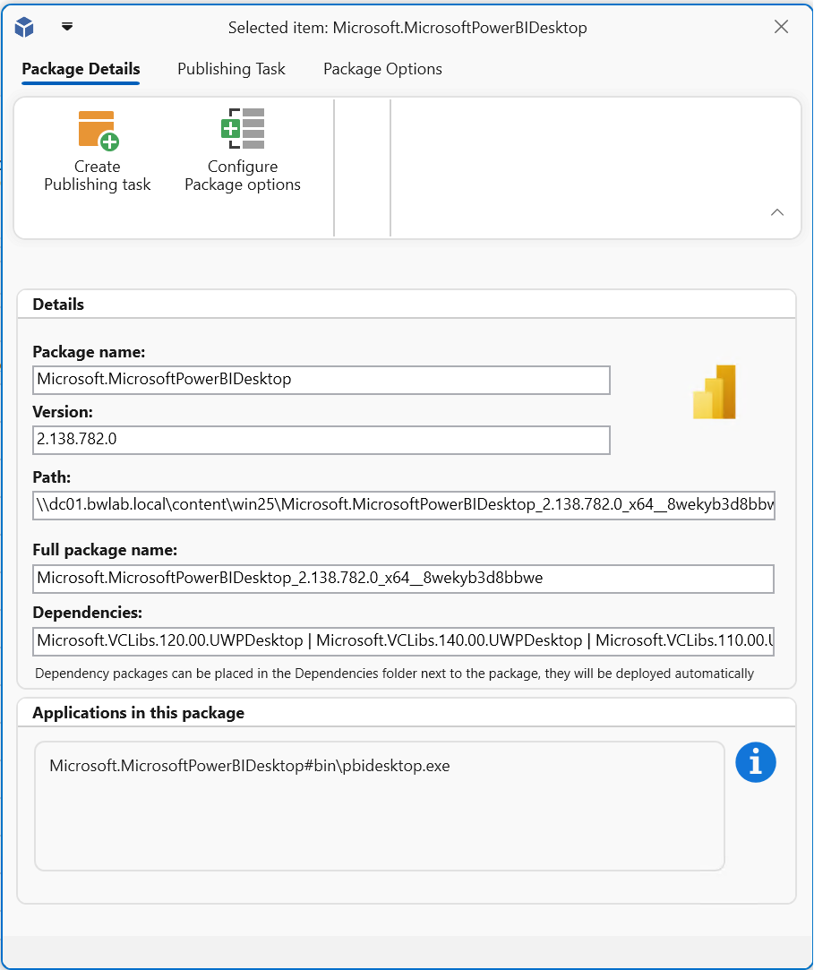 Publishing task options