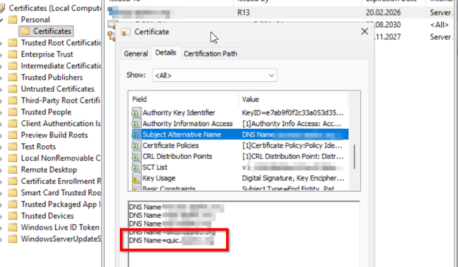 SSL cert mapping output